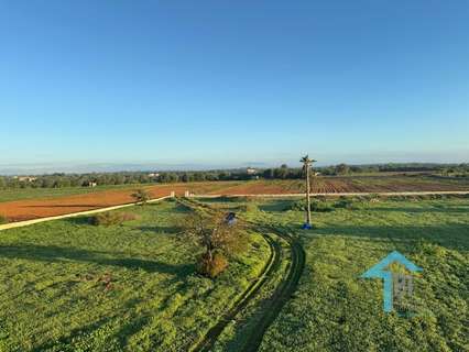 Parcela rústica en venta en Felanitx