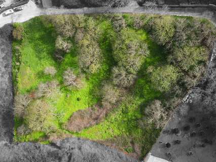 Parcela rústica en venta en El Rosario