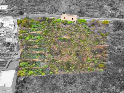 Parcela rústica en venta en Fasnia