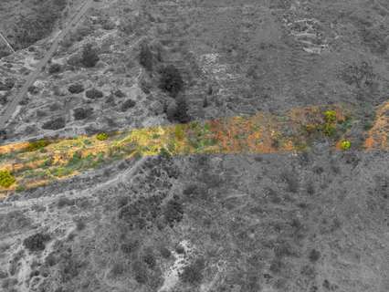 Parcela rústica en venta en Fasnia