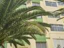 Piso en venta en Santa Cruz de Tenerife