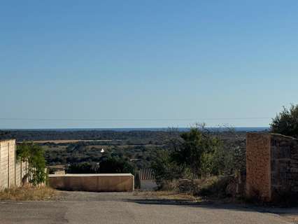Parcela rústica en venta en Ses Salines