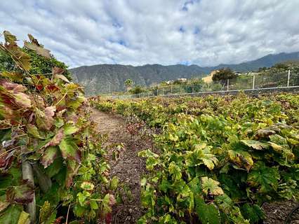 Casa rústica en venta en La Orotava