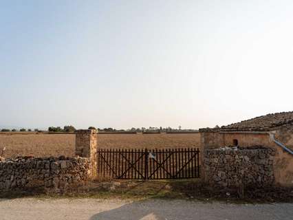 Parcela rústica en venta en Inca