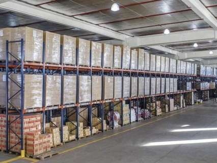 Local comercial en alquiler en Palma de Mallorca