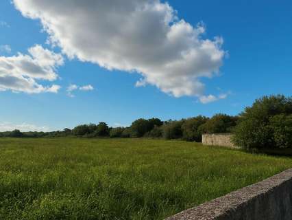 Parcela urbana en venta en Santa Margalida