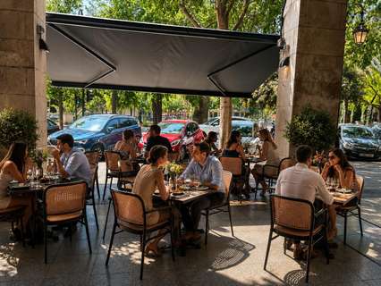 Local comercial en alquiler en Palma de Mallorca