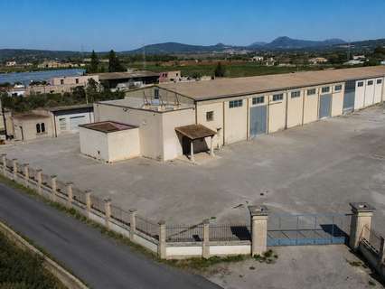 Nave industrial en venta en Manacor
