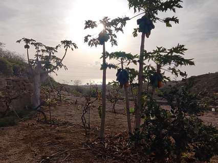 Parcela rústica en venta en Granadilla de Abona