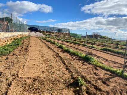 Parcela rústica en venta en Granadilla de Abona