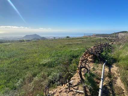 Parcela rústica en venta en Granadilla de Abona