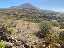 Parcela rústica en venta en Granadilla de Abona