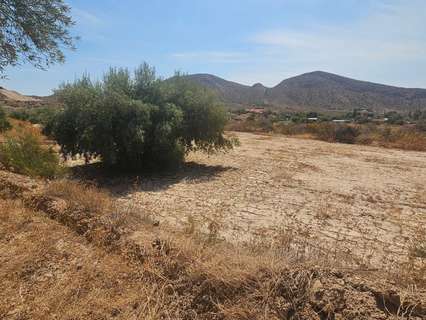 Parcela rústica en venta en Alicante