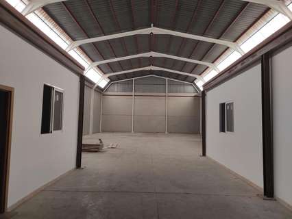 Nave industrial en alquiler en Molina de Segura