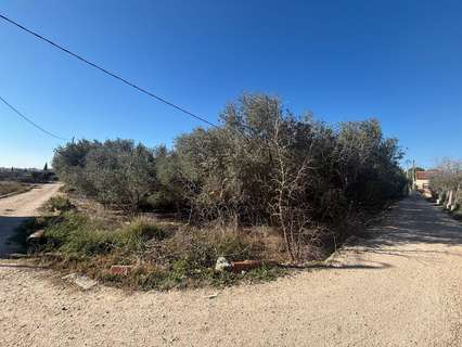 Parcela rústica en venta en Molina de Segura