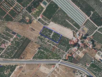 Parcela rústica en venta en Molina de Segura