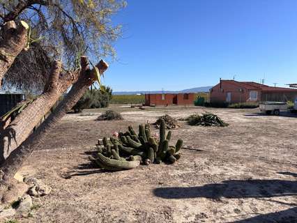 Parcela rústica en venta en Alguazas
