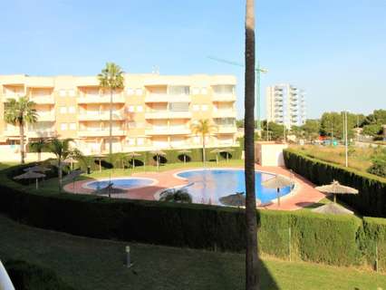 Apartamento en alquiler en Alicante zona Campoamor