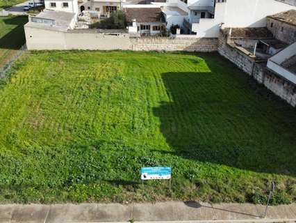 Parcela rústica en venta en Sa Pobla