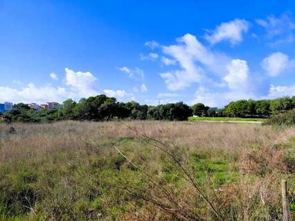 Parcela rústica en venta en Sant Llorenç des Cardassar