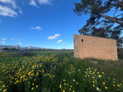 Parcela rústica en venta en Santa María del Camí