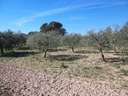 Parcela en venta en Banyeres del Penedès