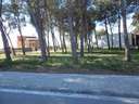 Parcela en venta en Banyeres del Penedès