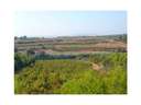 Casa rústica en venta en Vilafranca del Penedès