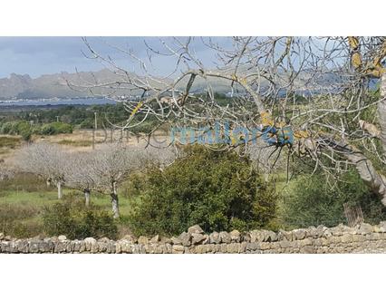 Finca en venta en Alcúdia