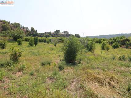 Parcela rústica en venta en Gilet