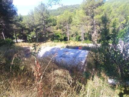 Parcela rústica en venta en Piera rebajada