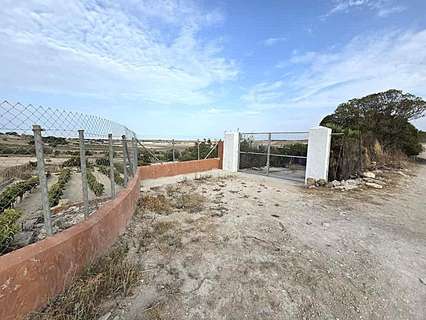 Parcela rústica en venta en Chiclana de la Frontera rebajada