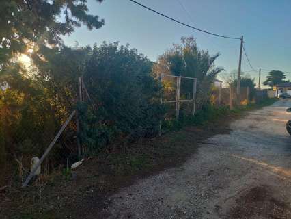 Parcela rústica en venta en Chiclana de la Frontera