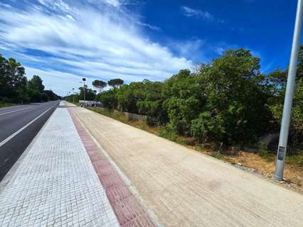 Parcela rústica en venta en Chiclana de la Frontera