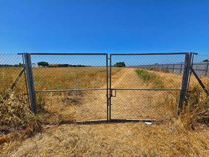 Parcela rústica en venta en Chiclana de la Frontera