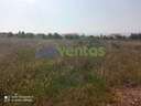 Parcela rústica en venta en Lorca
