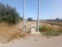 Parcela rústica en venta en Lorca