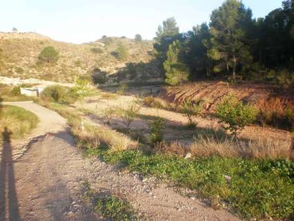 Parcela rústica en venta en Lorca