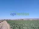 Parcela rústica en venta en Lorca rebajada