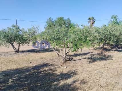 Parcela rústica en venta en Puerto Lumbreras