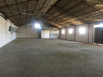 Nave industrial en alquiler en Las Torres de Cotillas
