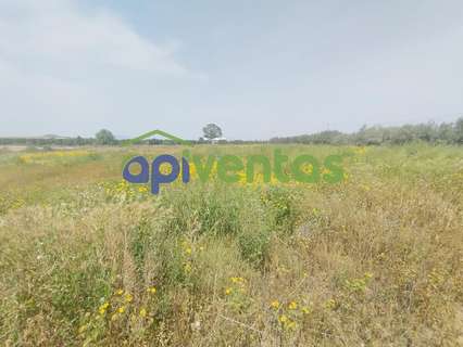 Parcela rústica en venta en Lorca