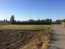 Parcela rústica en venta en Molina de Segura