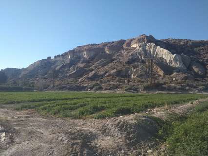 Finca en venta en Cuevas del Almanzora