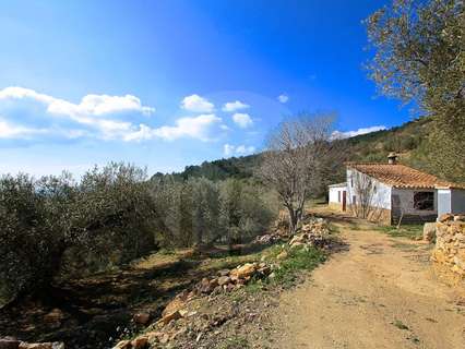 Casa en venta en El Perelló