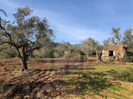 Casa rústica en venta en L'Ampolla, rebajada