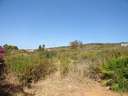 Parcela en venta en San Roque zona Torreguadiaro