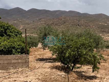 Parcela en venta en Padules zona Padules
