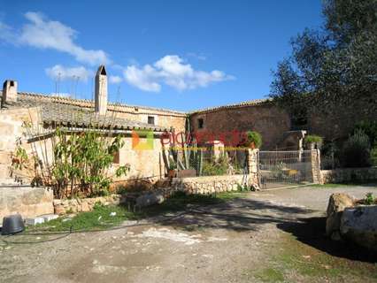 Villa en venta en Palma de Mallorca zona Sant Jordi, rebajada