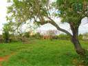 Finca en venta en Llubí